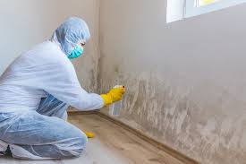 Best Black Mold Removal  in Warm Springs, OR