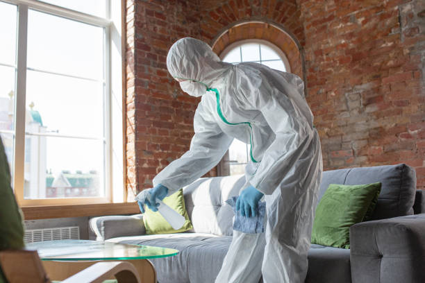 Mold Remediation for Rental Properties in Warm Springs, OR