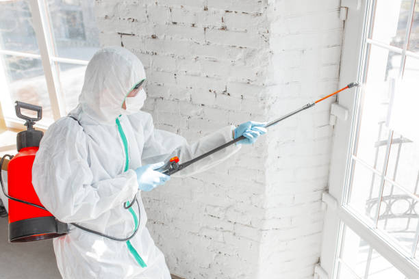 Mold Removal for HVAC Installations in Warm Springs, OR